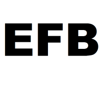 Аккумуляторы EFB - что это такое?