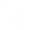 fb